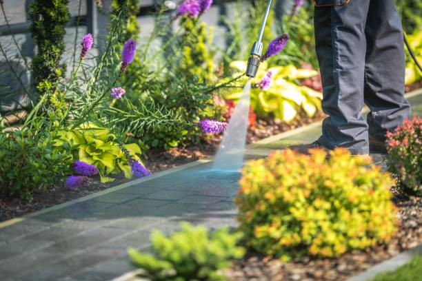 Endicott, NY Pressure Washing Services Company